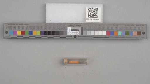 NSF ADBC EPICC TCN