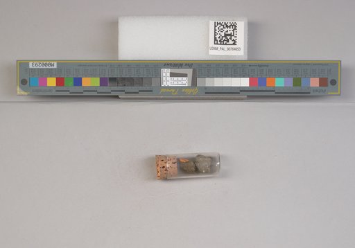 NSF ADBC EPICC TCN
