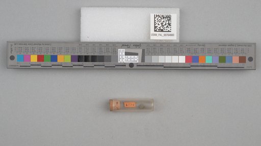 NSF ADBC EPICC TCN