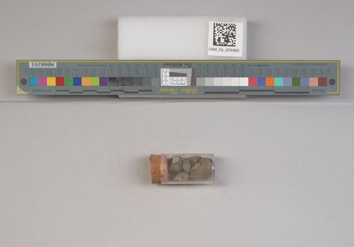 NSF ADBC EPICC TCN