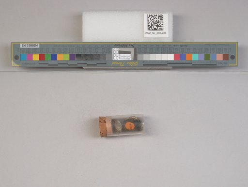 NSF ADBC EPICC TCN