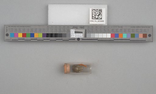 NSF ADBC EPICC TCN