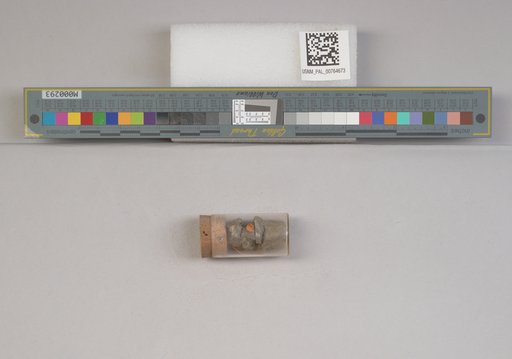 NSF ADBC EPICC TCN