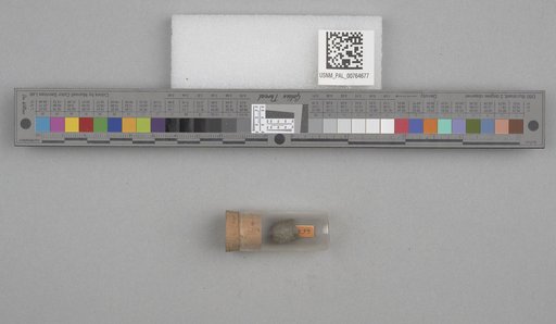 NSF ADBC EPICC TCN