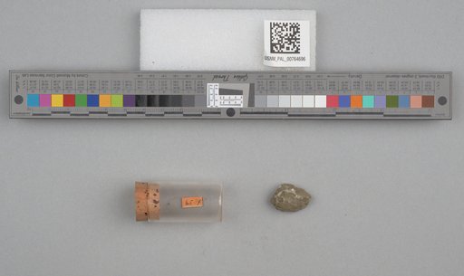 NSF ADBC EPICC TCN