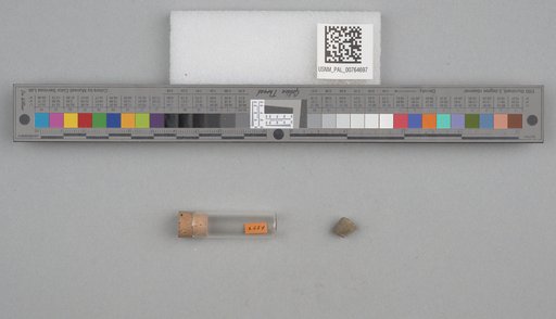 NSF ADBC EPICC TCN