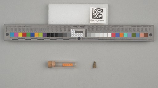 NSF ADBC EPICC TCN
