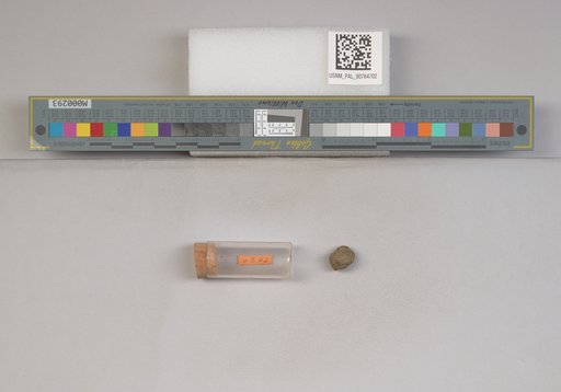 NSF ADBC EPICC TCN