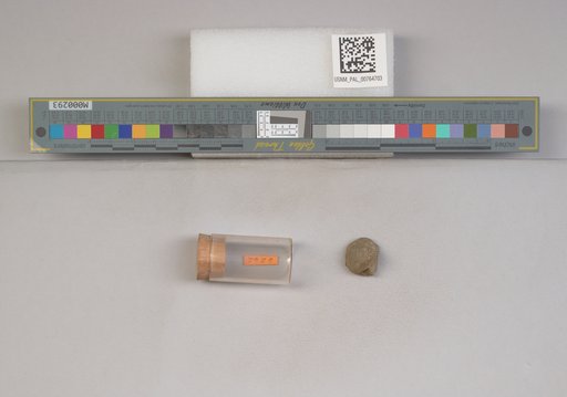 NSF ADBC EPICC TCN