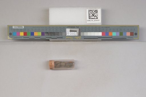 NSF ADBC EPICC TCN