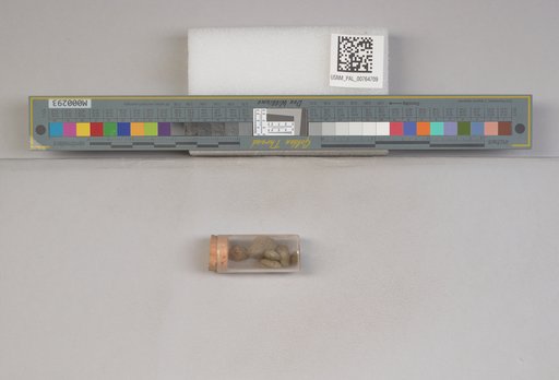 NSF ADBC EPICC TCN