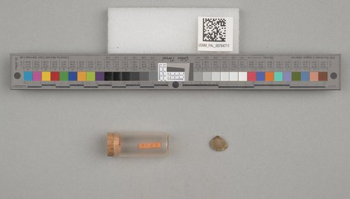 NSF ADBC EPICC TCN