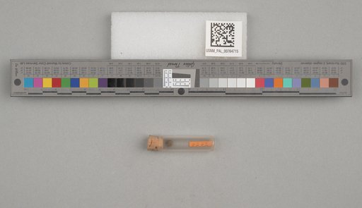 NSF ADBC EPICC TCN