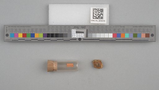 NSF ADBC EPICC TCN