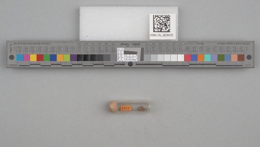 NSF ADBC EPICC TCN