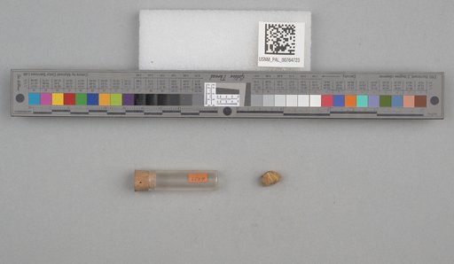 NSF ADBC EPICC TCN