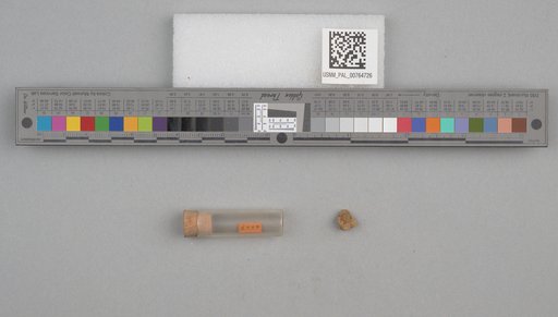 NSF ADBC EPICC TCN