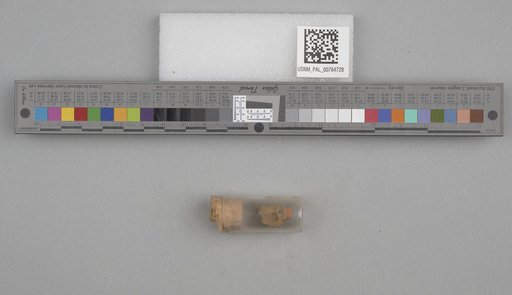 NSF ADBC EPICC TCN