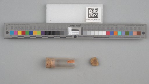 NSF ADBC EPICC TCN