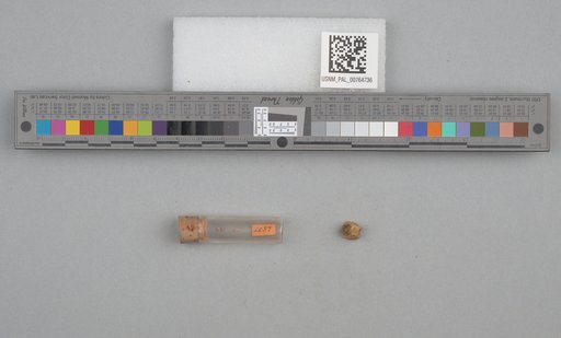 NSF ADBC EPICC TCN