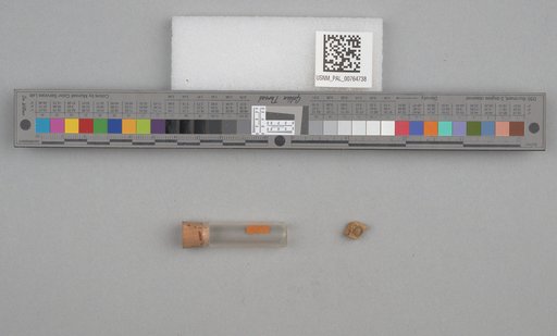 NSF ADBC EPICC TCN