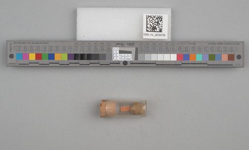 NSF ADBC EPICC TCN