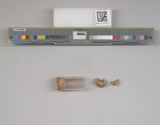 NSF ADBC EPICC TCN
