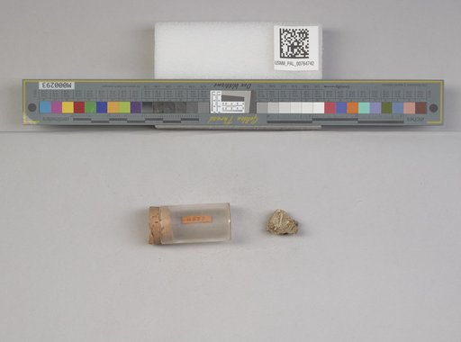 NSF ADBC EPICC TCN
