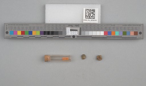 NSF ADBC EPICC TCN