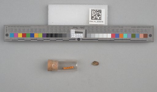 NSF ADBC EPICC TCN