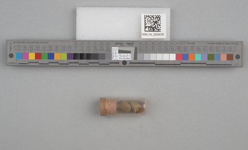 NSF ADBC EPICC TCN