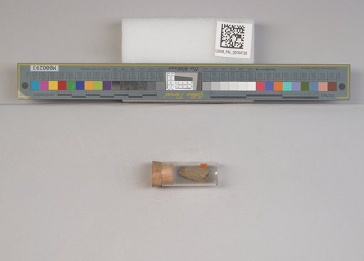 NSF ADBC EPICC TCN