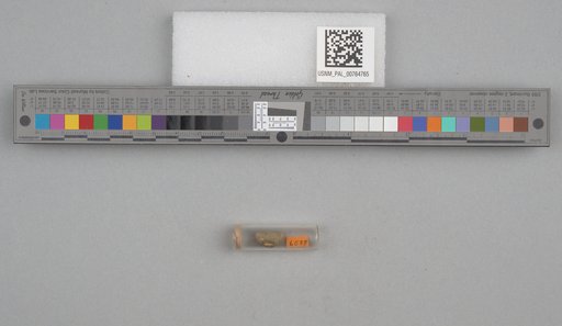NSF ADBC EPICC TCN