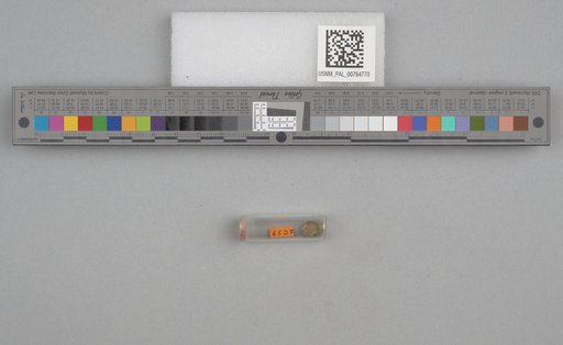 NSF ADBC EPICC TCN