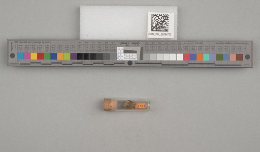 NSF ADBC EPICC TCN