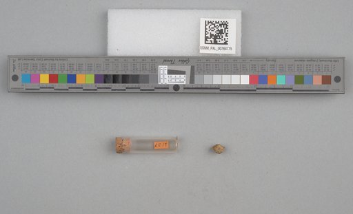 NSF ADBC EPICC TCN