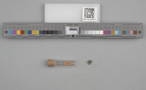 NSF ADBC EPICC TCN
