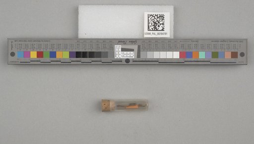 NSF ADBC EPICC TCN