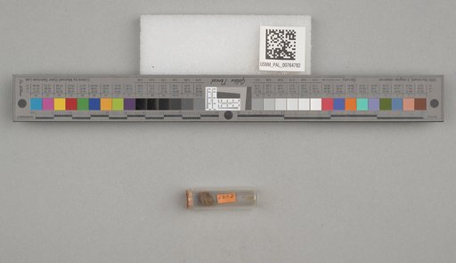 NSF ADBC EPICC TCN