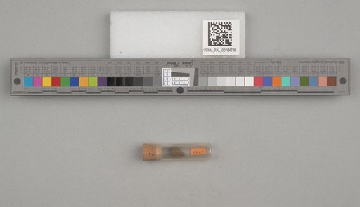 NSF ADBC EPICC TCN