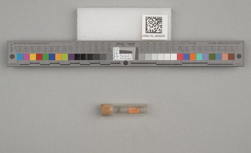 NSF ADBC EPICC TCN