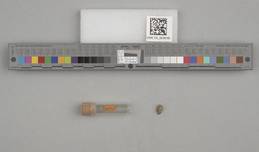 NSF ADBC EPICC TCN