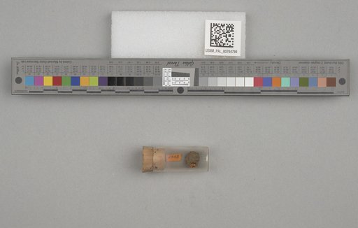 NSF ADBC EPICC TCN
