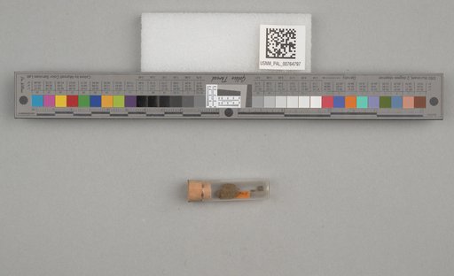 NSF ADBC EPICC TCN