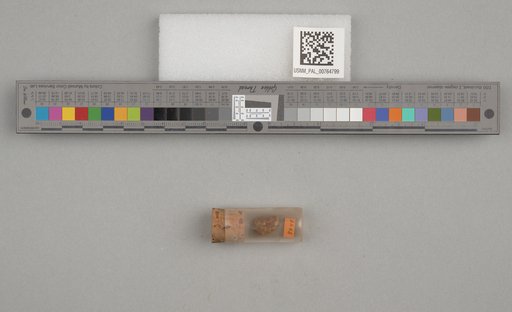 NSF ADBC EPICC TCN