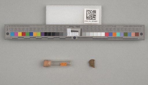 NSF ADBC EPICC TCN