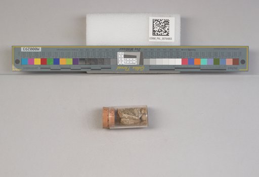 NSF ADBC EPICC TCN