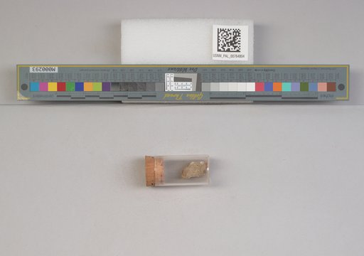 NSF ADBC EPICC TCN