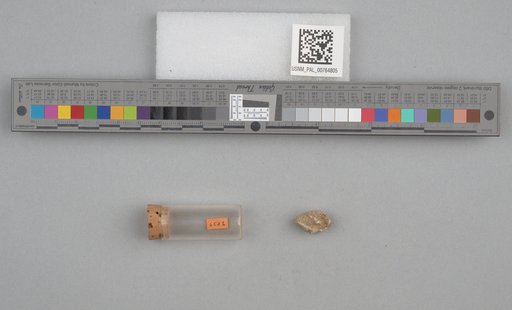 NSF ADBC EPICC TCN