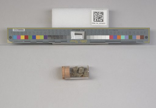 NSF ADBC EPICC TCN